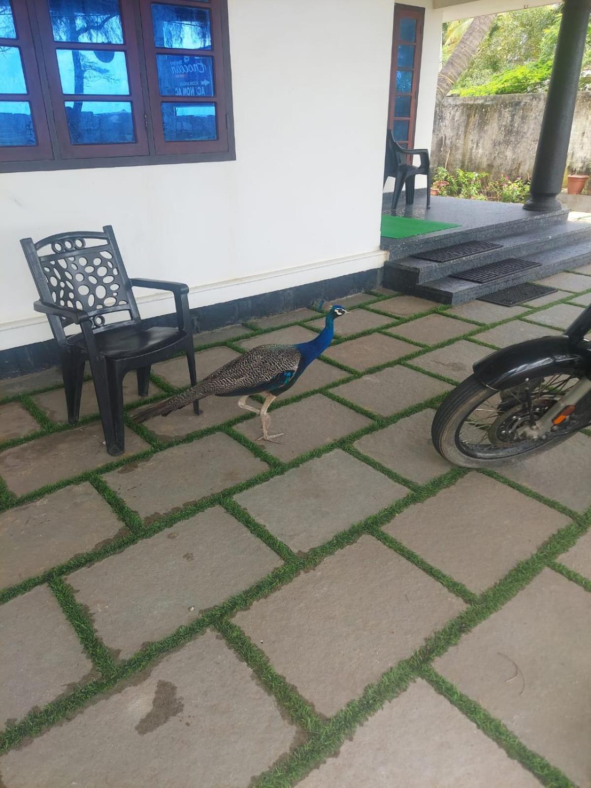 Enocean Homestay 柴瑞海滩 外观 照片